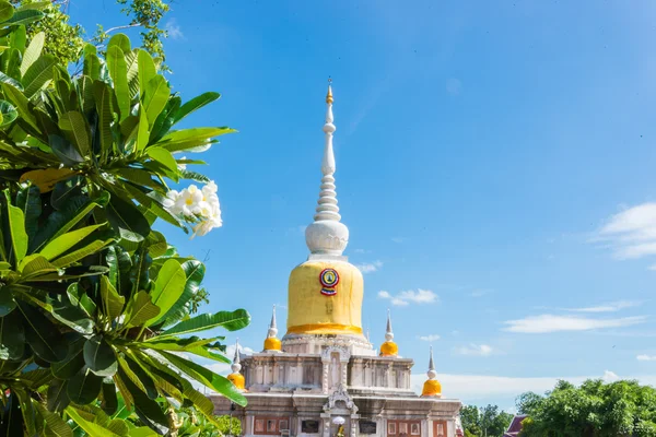 Relikwieën van de Boeddha's in Thailand, naam is phra tard na dun — Stockfoto