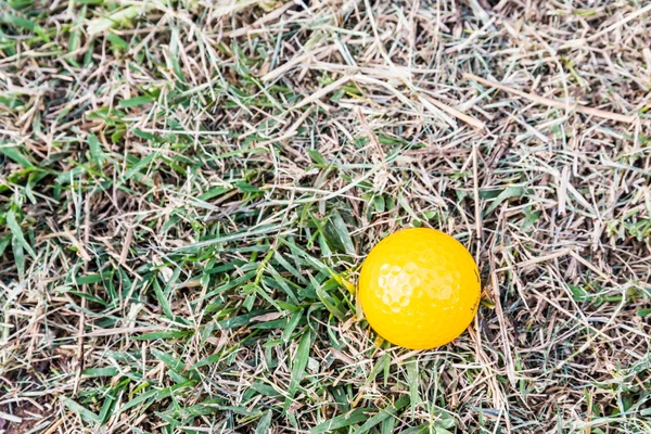 Kaba sarı minyatür Golf topu