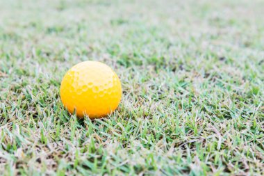 Golf top sahası üzerinde