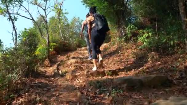 Due belle donne che indossano vestiti sportivi che camminano sulla collina nel bosco — Video Stock