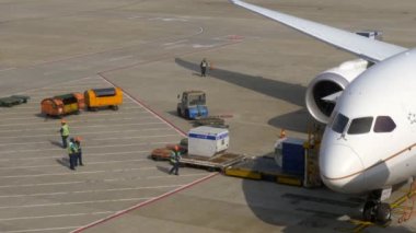 HONG KONG - 20 ARALIK 2019 Havaalanı çalışanları havaalanı terminalindeki uçağa bagajlarını yükledi.