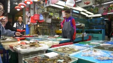 HONG KONG - 21 Ocak 2020: Kızlar yerel bir gıda pazarında suda yaşayan yılan ve kaplumbağalara bakın