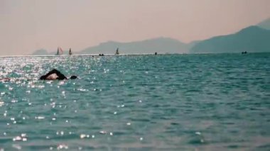 Yüzme şapkalı sporcu Hong Kong sahilinde, Çin 'de güneş ışığında yüzüyor.