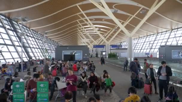 HONGKONG - 20. DEZEMBER 2019: Menschen warten tagsüber in der Passagierlounge mit Gepäck am Flughafen — Stockvideo