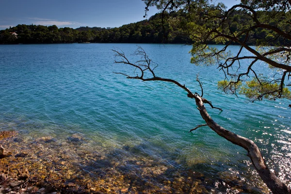 Costa Adriatica - Croazia Paesaggio — Foto Stock