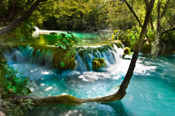 Krásná, exotická vodopád Krajina — Stock fotografie