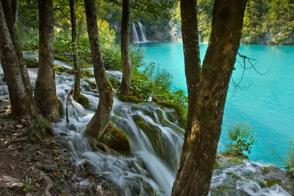 Vackra exotiska vattenfall landskap — Stockfoto