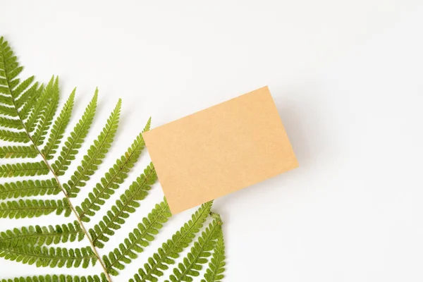 Artesanato mockup de papel com espaço de cópia. Modelo de cartão com folha verde vista superior. Antecedentes minimalistas — Fotografia de Stock