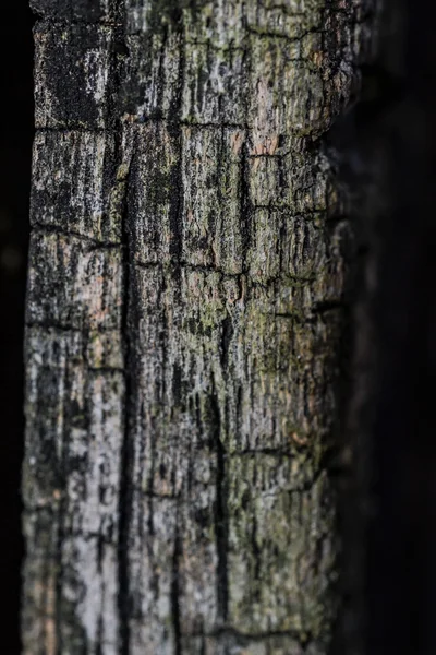 Vecchi piatti di legno incrinato . — Foto Stock