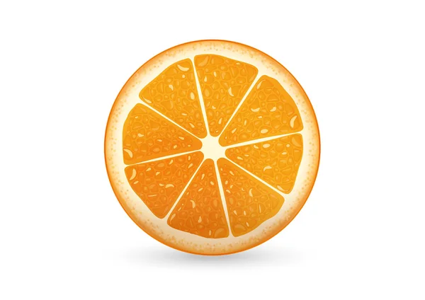 Naranja en rodajas — Archivo Imágenes Vectoriales