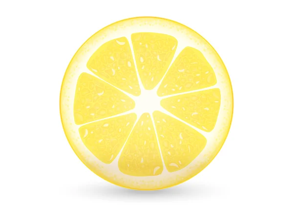 Нарезанный лимон — стоковый вектор