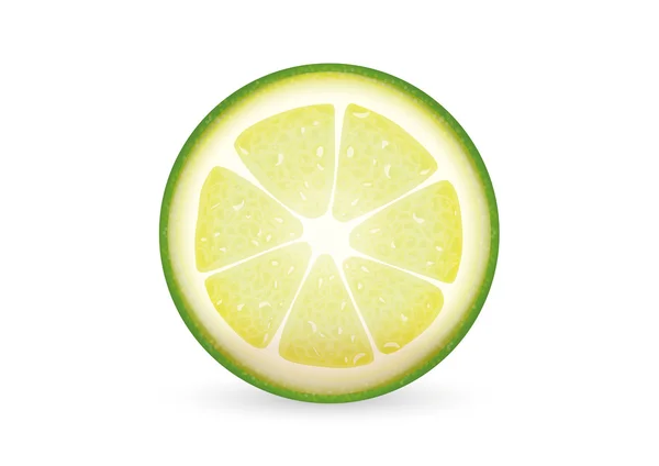 Plasterki limonki — Wektor stockowy
