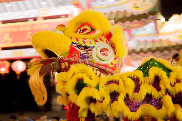 Acrobats are performing a lion and dragon dance — Stock Photo, Image
