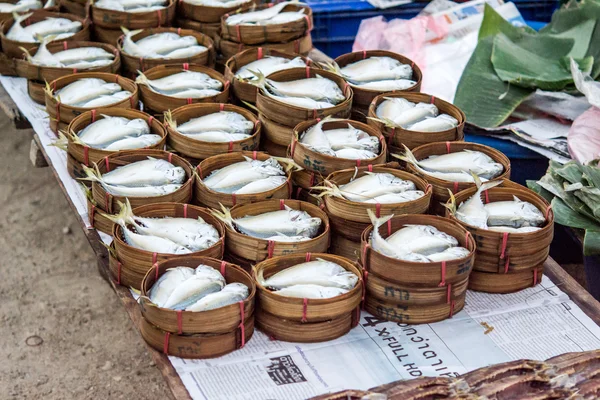 Dušená indo Pacifik makrely obchod — Stock fotografie