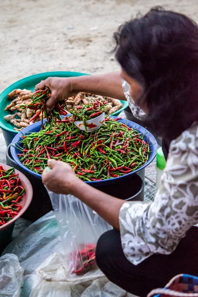 Chili pepper shop — Stock Photo, Image