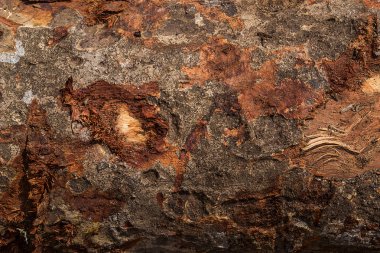 doku ormandan gelen ahşap bölümü