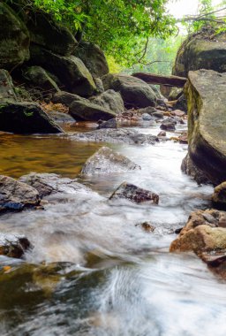 Tropikal yağmur ormanlarındaki dere. Temiz ve saf su akıntısı yukarıdaki yemyeşil yaprakların gölgesi altında çakıl ve kaya kayaları arasından akar. Huzurlu ve rahatlatıcı çevre.
