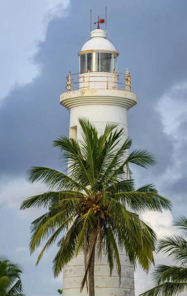 Galle Fort Leuchtturm Landschaftsaufnahme Palme Und Der Leuchtturm — Stockfoto