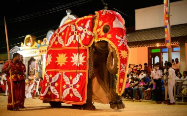 Kataragama, Sri Lanka - 08 06 2022: Spectacular elephant in the Ruhunu Maha Kataragama Dewalaya annual Esela Perahara, a Decorated elephant walks in the procession on the Esala festival night.