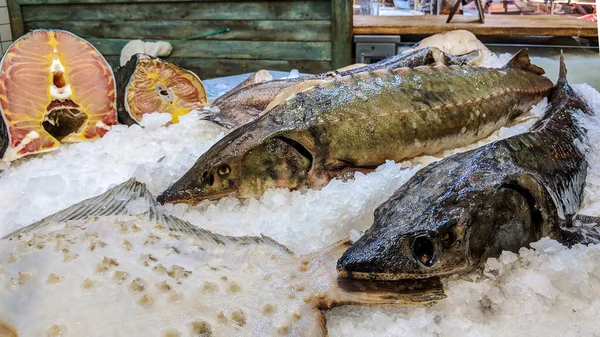 Fresh Sturgeon Fish Ice Other Fishes Sole Foreground Fish Market Stock Fotografie