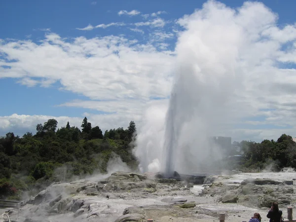 Pohutu Geyser — Stock Photo, Image