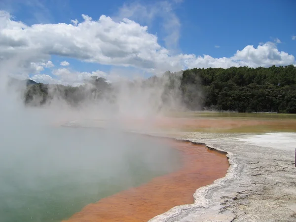 Champagne Pool — Stock Photo, Image