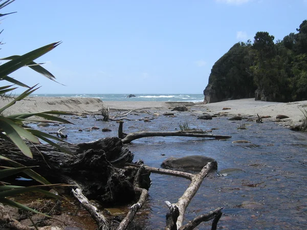 Wild Beach — Stock Photo, Image