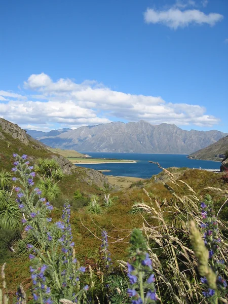 Lago Hawea, Nova Zelândia — Fotografia de Stock