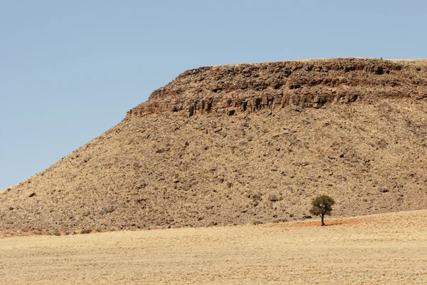Desert in Namibië — Stockfoto
