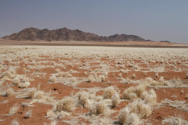 Landschap in Namibië — Stockfoto