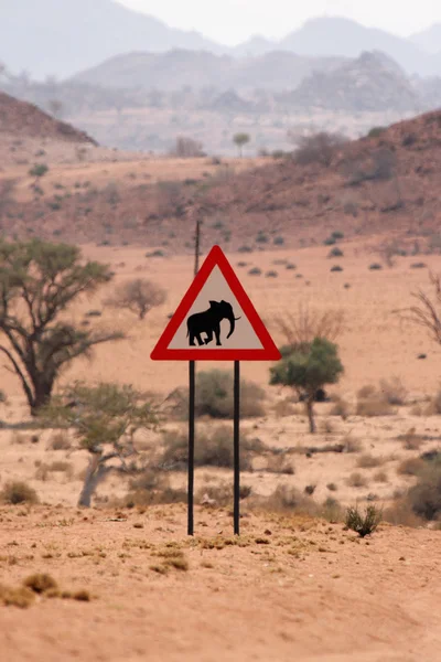 Attention Elephants — Stok fotoğraf