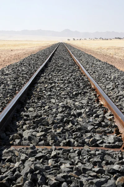砂漠の鉄道 — ストック写真