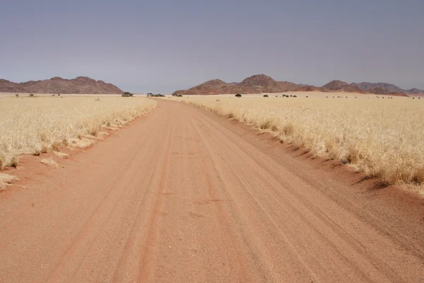 Krajobraz w Namibii — Zdjęcie stockowe