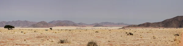 Desert in Namibië — Stockfoto