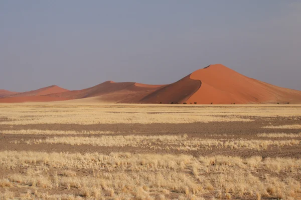 Wydmy na pustyni Namib — Zdjęcie stockowe