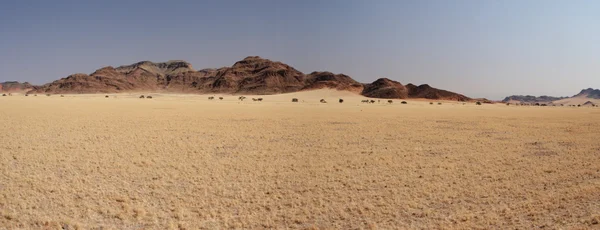 Landschap in Namibië — Stockfoto