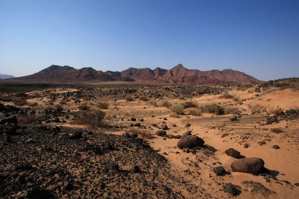 Damaraland, Namibië — Stockfoto