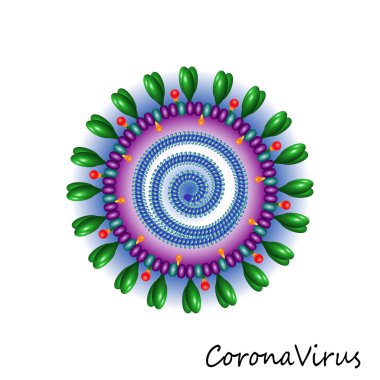 Corona virüs parçacık yapısı