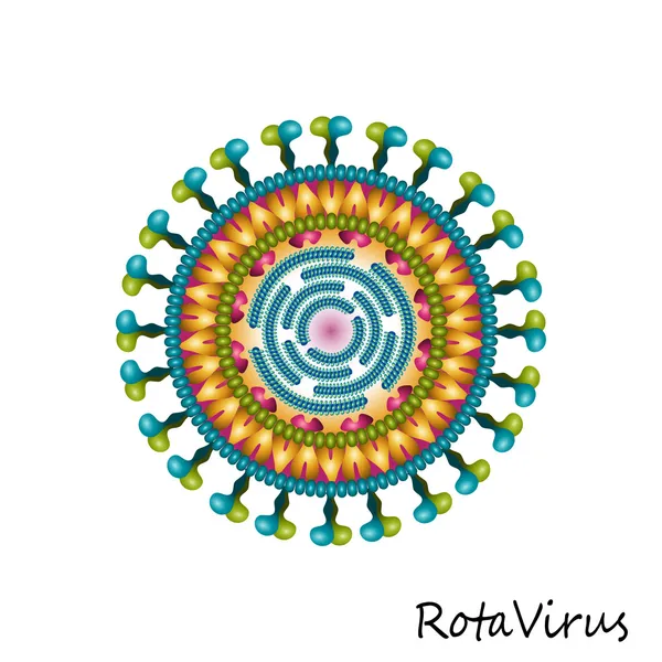 Rota virus particle structure — Stock Vector
