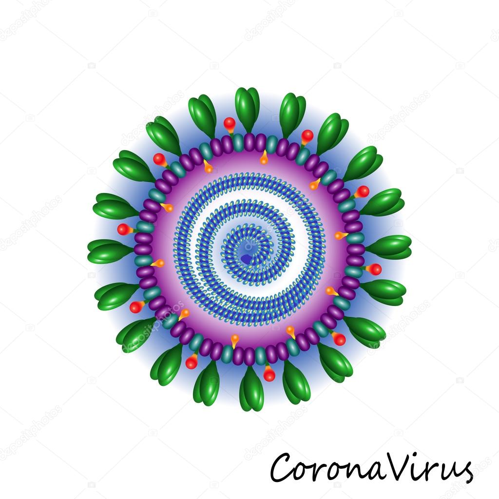 Corona virus particle structure
