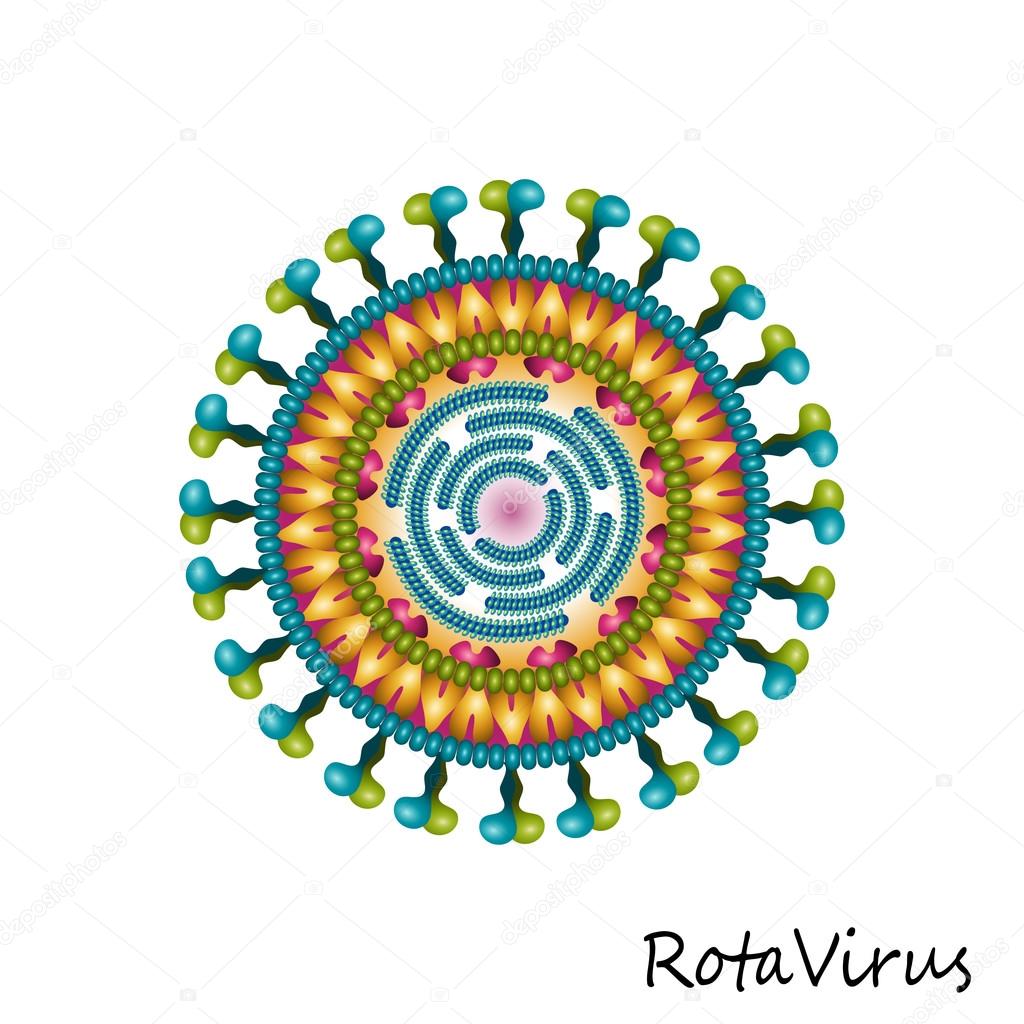 Rota virus particle structure