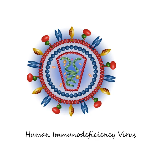 HIV virus deeltje structuur — Stockvector