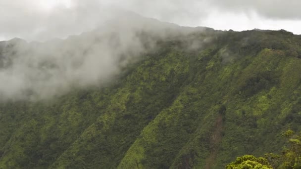 Waimea canyon timelapse kauai, hawaii, Amerikai Egyesült Államok — Stock videók