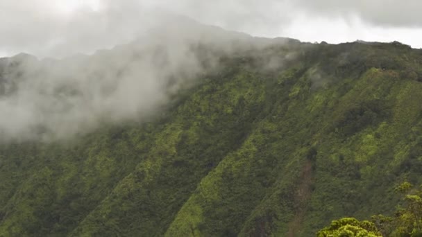 Kanion Waimea, timelapse, kauai, Hawaje, Stany Zjednoczone Ameryki — Wideo stockowe