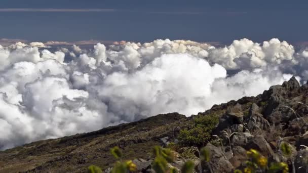 Haleakala mraky, timelapse, maui, Havaj, usa — Stock video