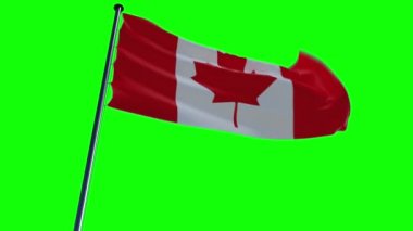 yeşil ekran ve alfa ile farklı arka planlar hareketli Kanada bayrağı