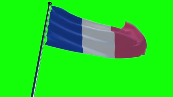 France Drapeau, animé sur un fond avec alpha et écran vert — Video