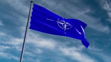 farklı kökenden animasyonlu nato bayrağı