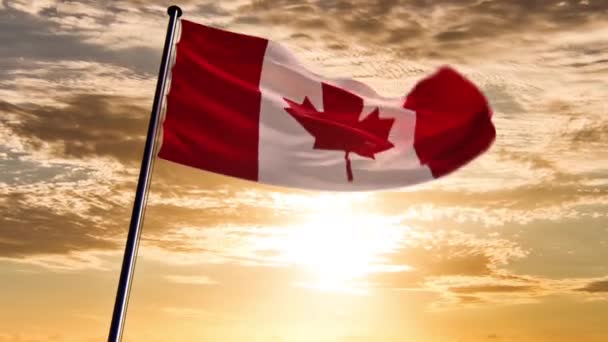 Canada Flag, animated on different backgrounds — Stock Video