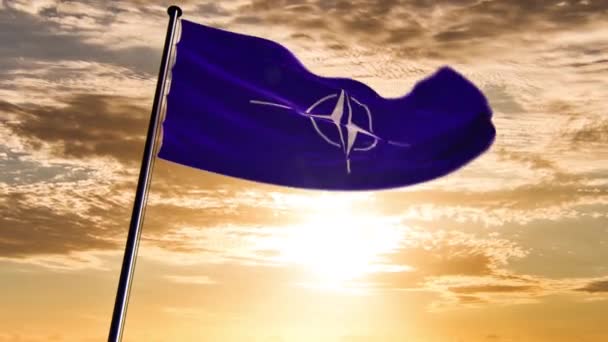 Bandiera NATO, animata su diversi sfondi — Video Stock